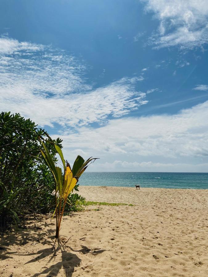 Sanjis The Seaside Cabanas Tangalle Εξωτερικό φωτογραφία
