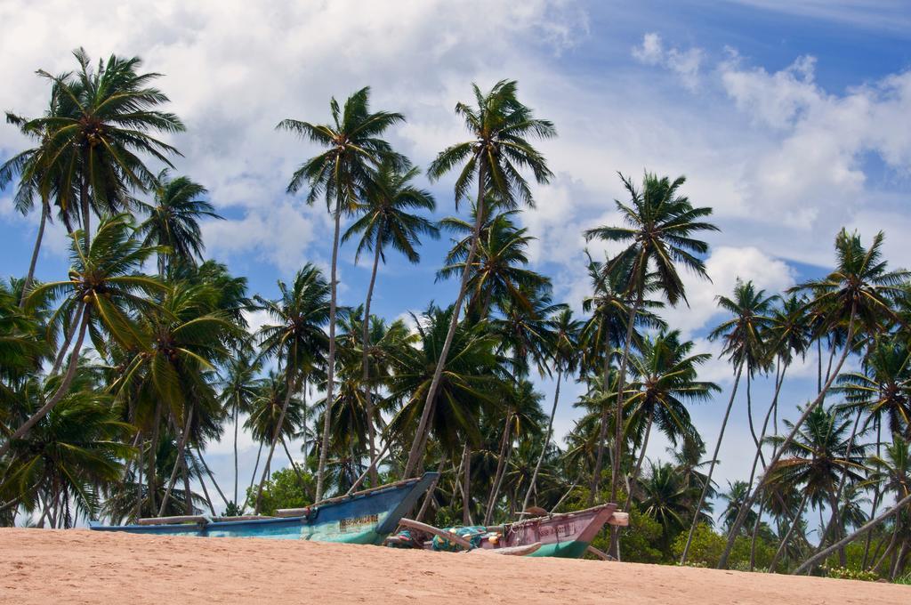 Sanjis The Seaside Cabanas Tangalle Εξωτερικό φωτογραφία